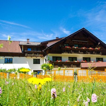 فندق Haus Kohlberghof بيشلباخ المظهر الخارجي الصورة
