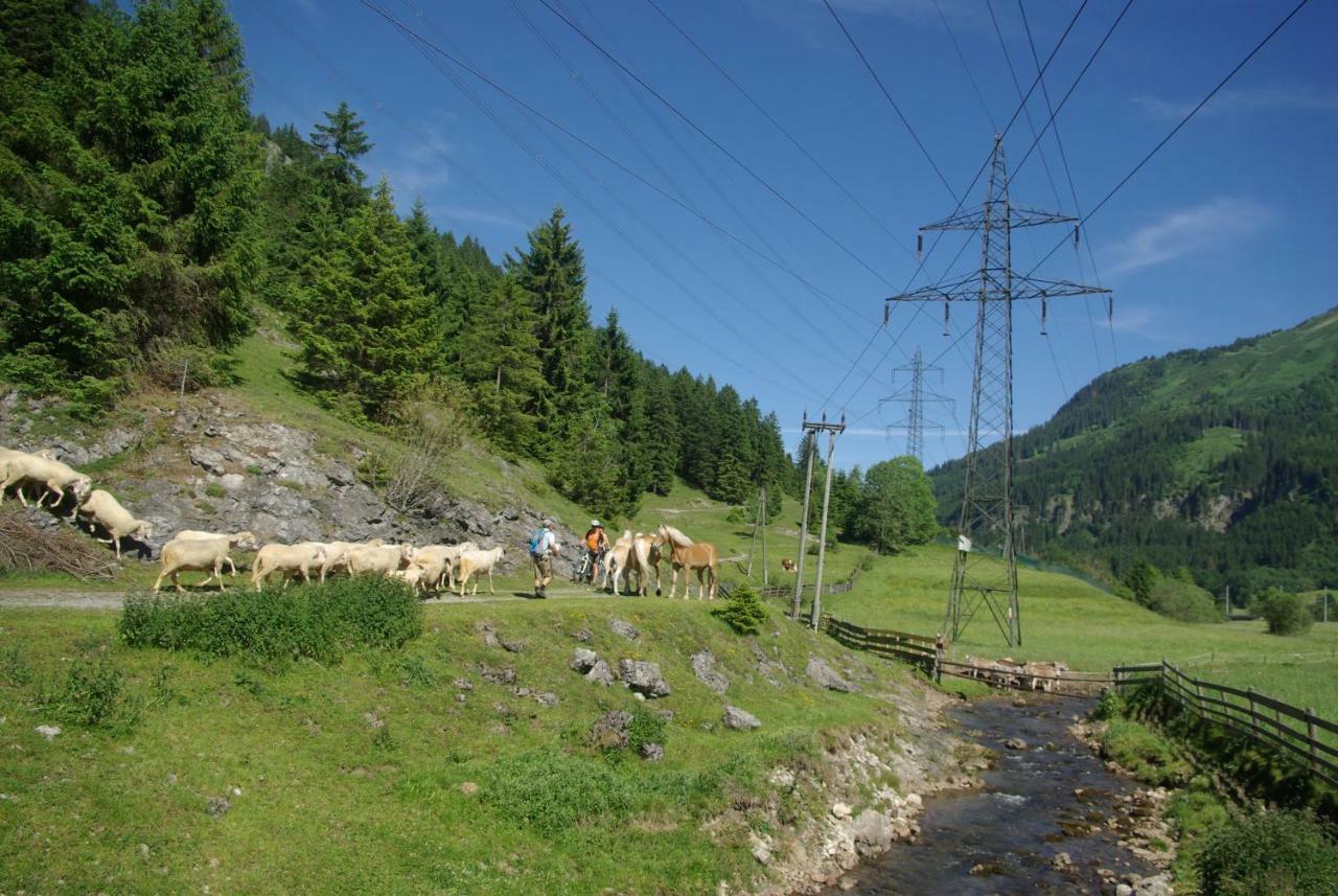 فندق Haus Kohlberghof بيشلباخ المظهر الخارجي الصورة