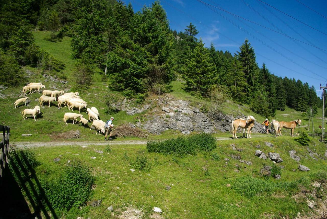 فندق Haus Kohlberghof بيشلباخ المظهر الخارجي الصورة